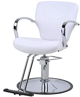 BR Beauty Arctic Styling Chair