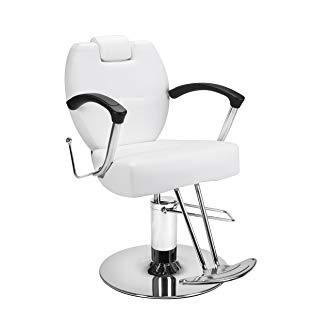 Beauty Salon Styling Chair HERMAN WHITE All Purpose Salon Furniture and Barber Chairs