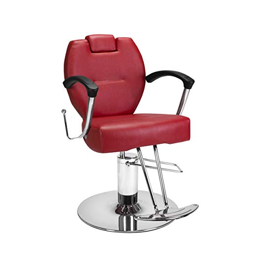 Beauty Salon Styling Chair HERMAN RED All Purpose Salon Furniture and Barber Chairs