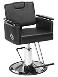 BR Beauty Carlton Salon and Barber All-Purpose Chair