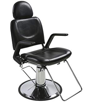 BR Beauty Sue Professional Salon All-Purpose Chair